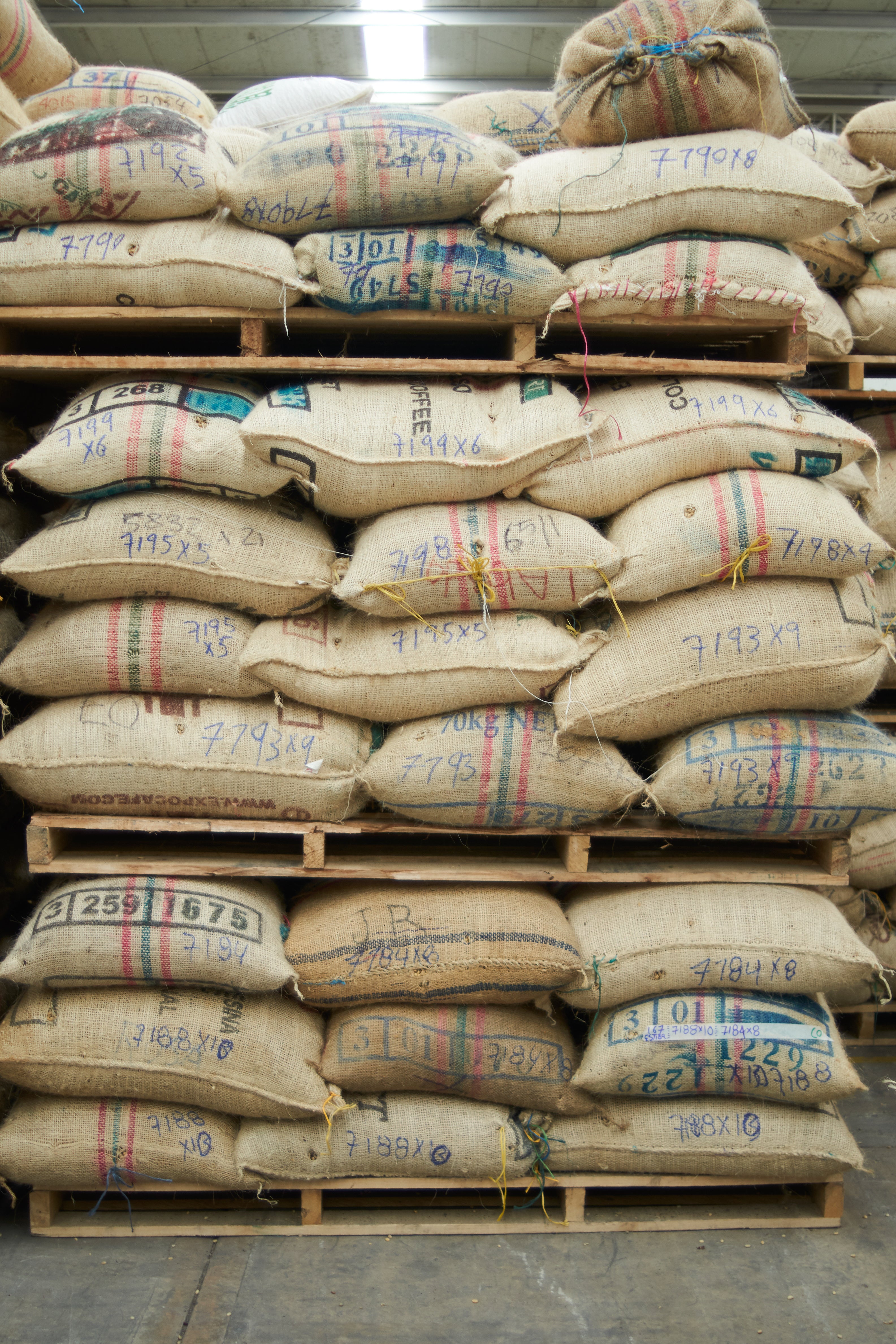 En Route: A Coffee Bean's Journey from Colombia to Austin