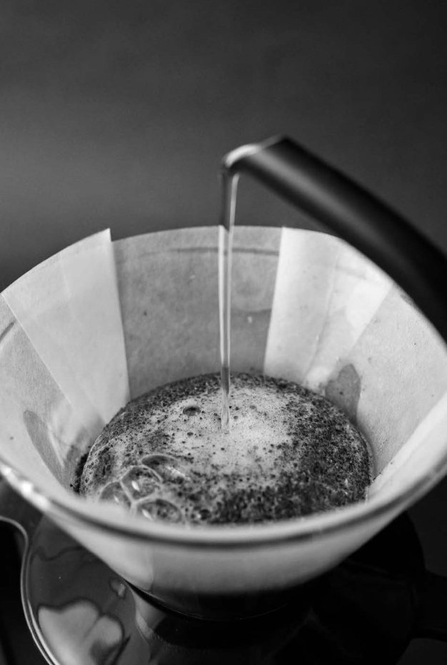 Sibarist Filters - FAST FLAT MEDIUM