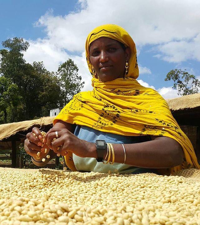 Fresh Perspective - Ethiopia
