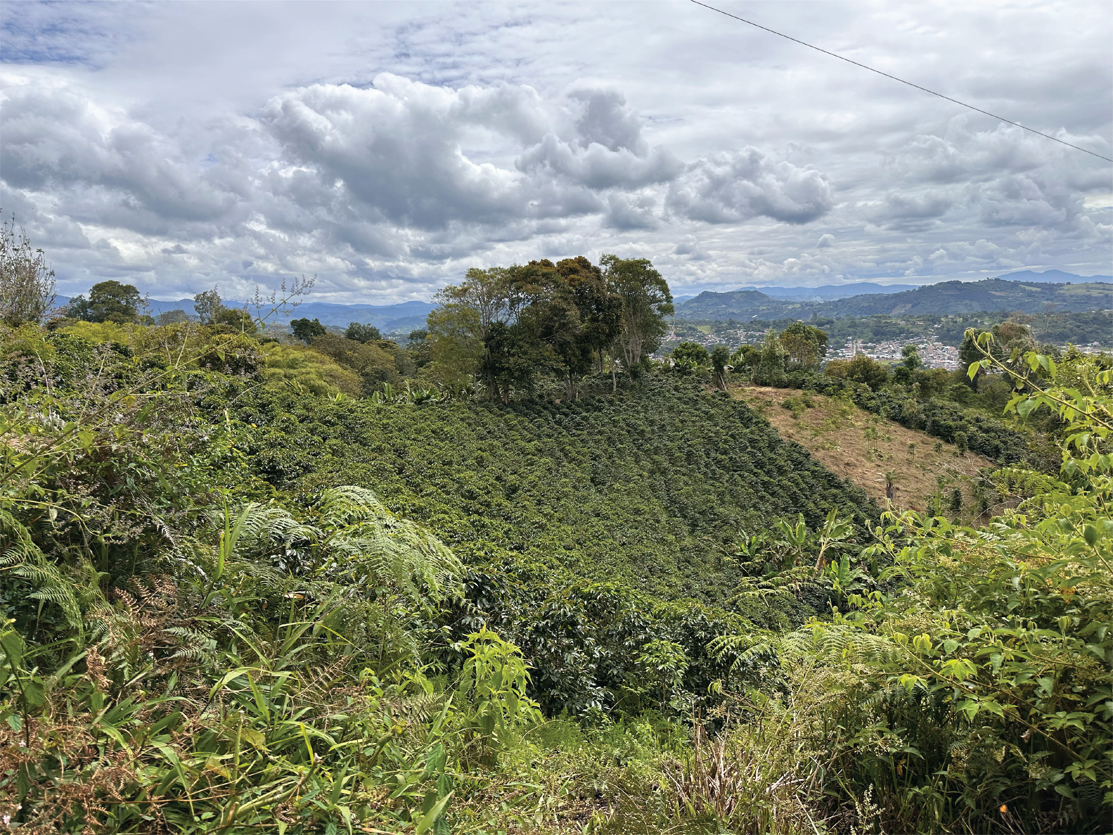 Origin Trip to Huila, Colombia